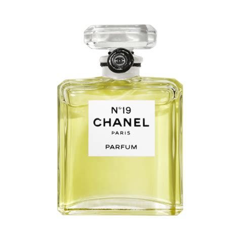 chanel no 19 notes|where to buy chanel 19.